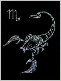 Scorpion2410